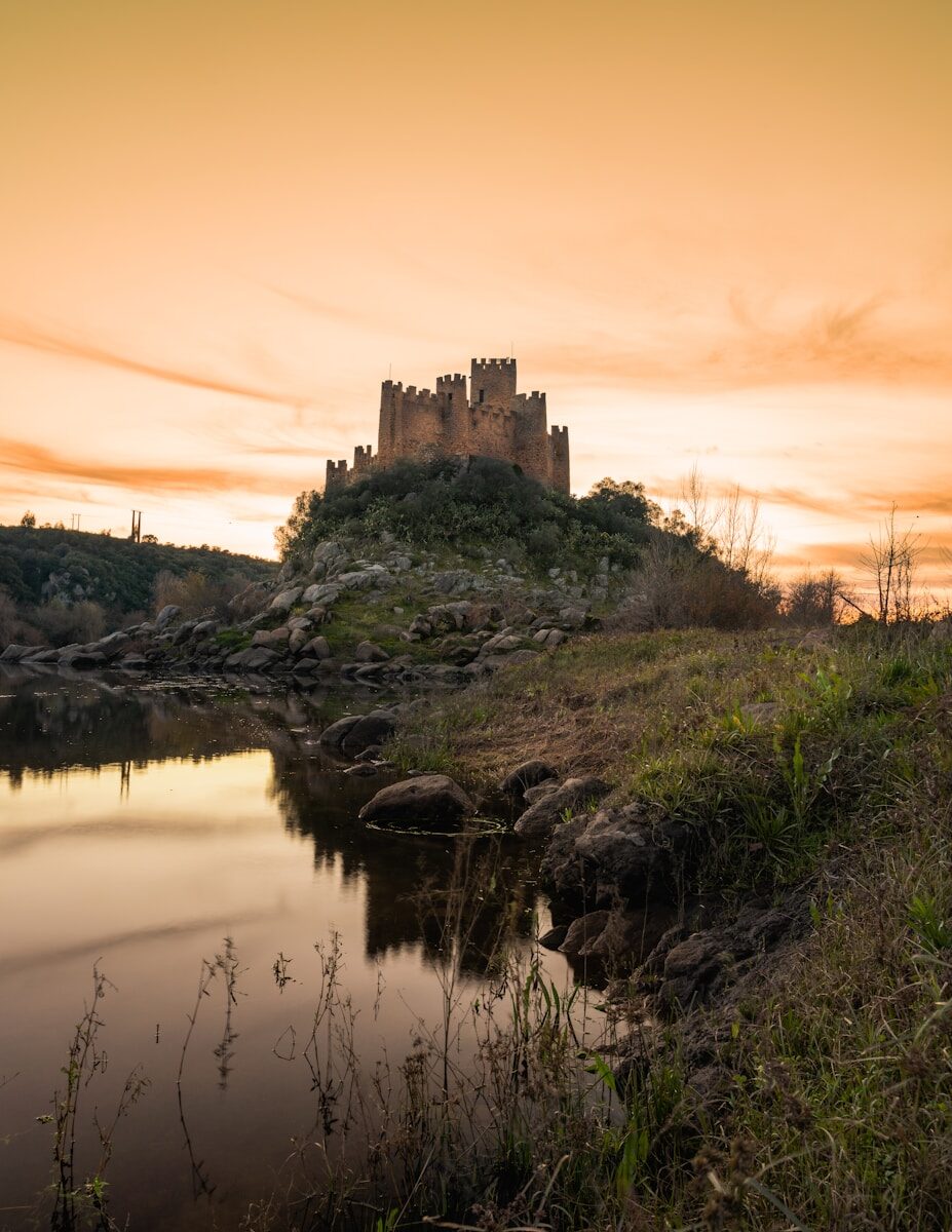 Cooperation with tribunals