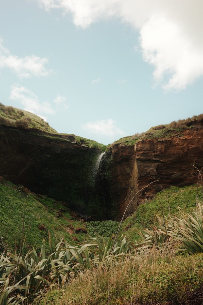 Legal protections for whistleblowers